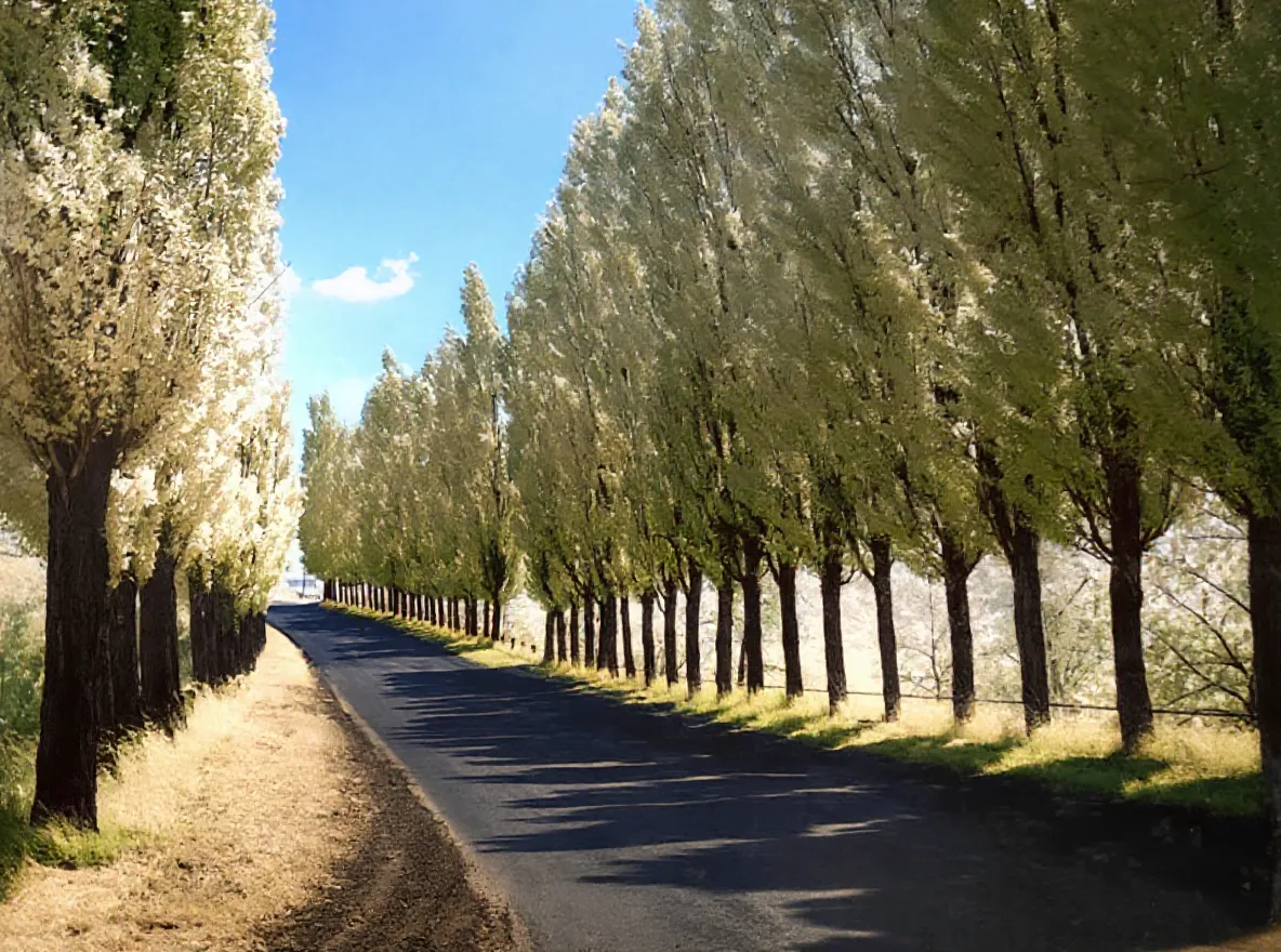 home.comparison.beforeAfter.undefined.title - After