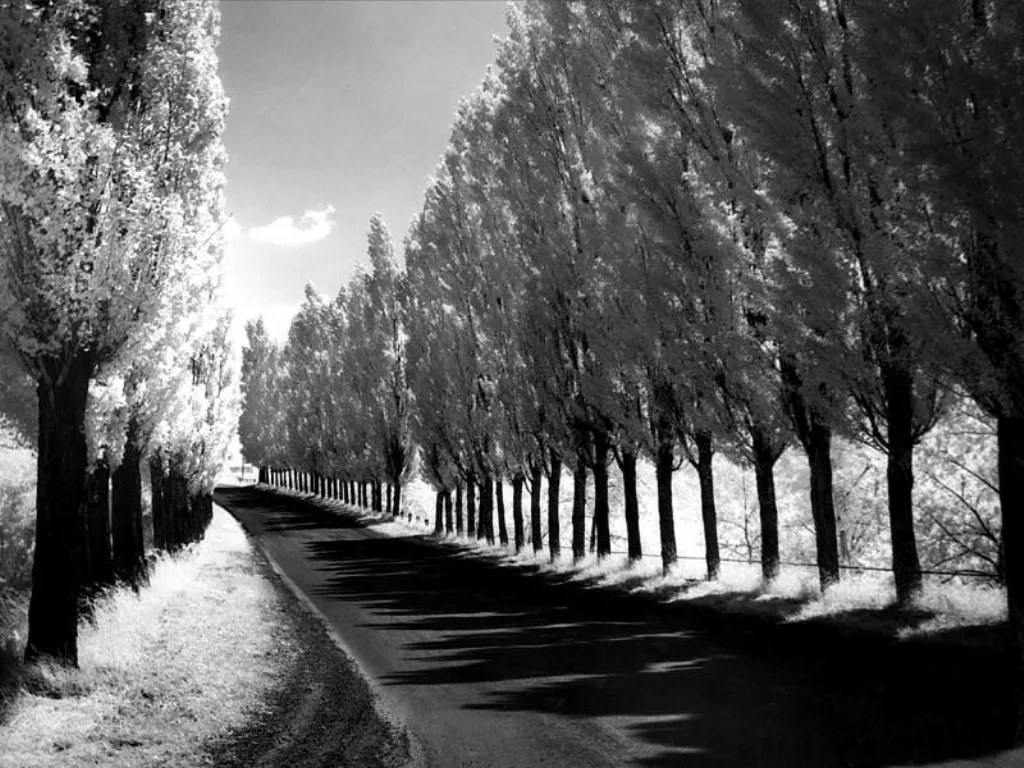 home.comparison.beforeAfter.undefined.title - Before